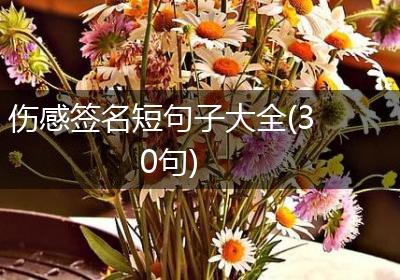 伤感签名短句子大全(30句)