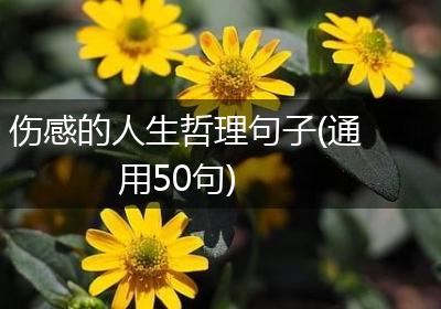 伤感的人生哲理句子(通用50句)