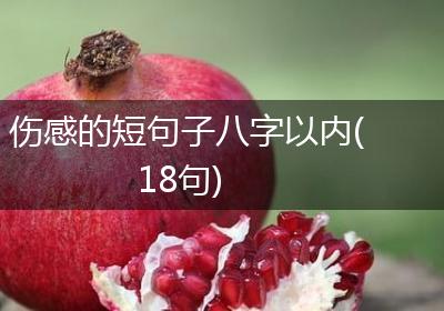 伤感的短句子八字以内(18句)