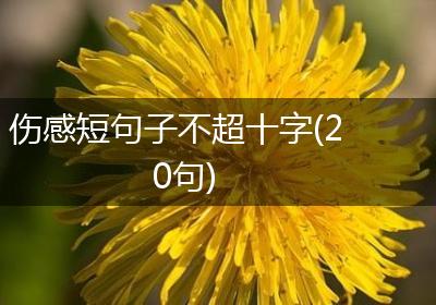 伤感短句子不超十字(20句)