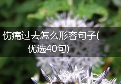 伤痛过去怎么形容句子(优选40句)