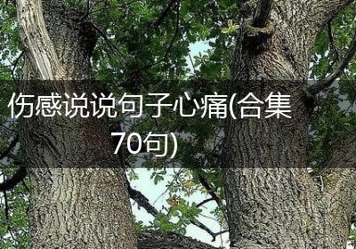伤感说说句子心痛(合集70句)