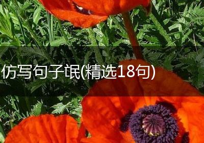 仿写句子氓(精选18句)
