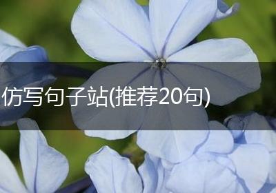仿写句子站(推荐20句)