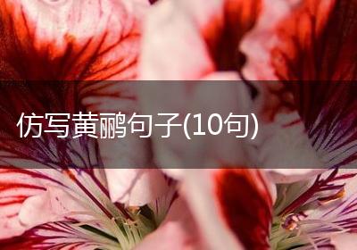 仿写黄鹂句子(10句)