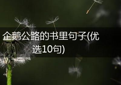 企鹅公路的书里句子(优选10句)