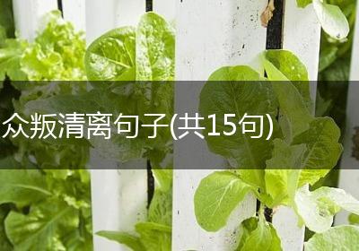 众叛清离句子(共15句)