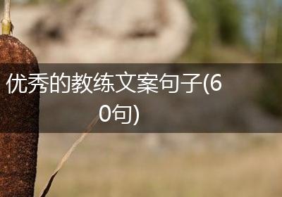 优秀的教练文案句子(60句)