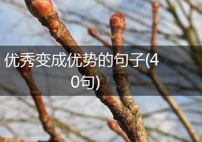 优秀变成优势的句子(40句)
