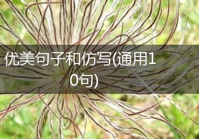 优美句子和仿写(通用10句)