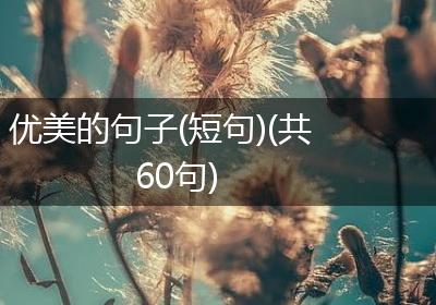 优美的句子(短句)(共60句)