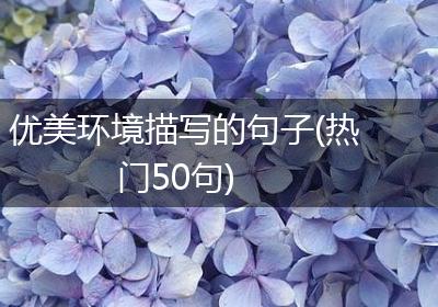 优美环境描写的句子(热门50句)
