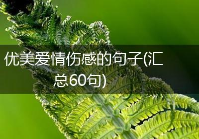 优美爱情伤感的句子(汇总60句)