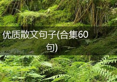 优质散文句子(合集60句)