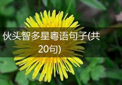 伙头智多星粤语句子(共20句)
