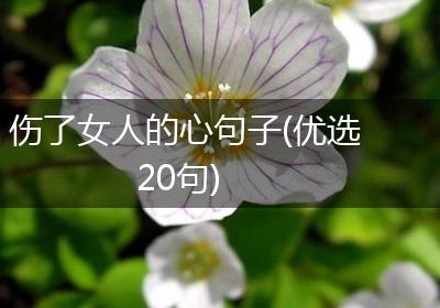 伤了女人的心句子(优选20句)