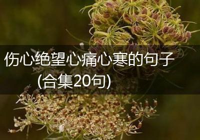 伤心绝望心痛心寒的句子(合集20句)