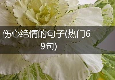 伤心绝情的句子(热门69句)