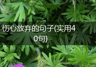 伤心放弃的句子(实用40句)