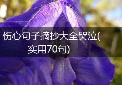 伤心句子摘抄大全哭泣(实用70句)
