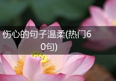 伤心的句子温柔(热门60句)