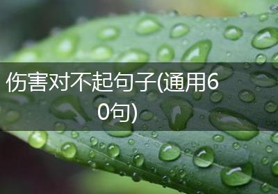 伤害对不起句子(通用60句)