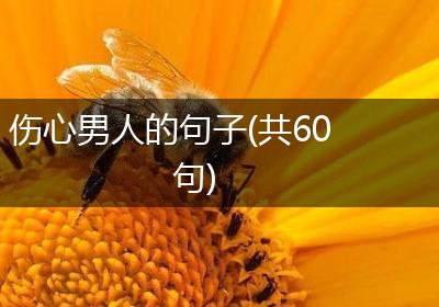 伤心男人的句子(共60句)