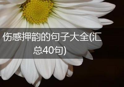 伤感押韵的句子大全(汇总40句)