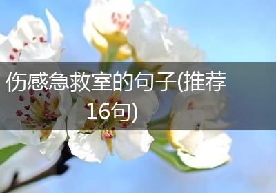 伤感急救室的句子(推荐16句)