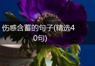 伤感含蓄的句子(精选40句)