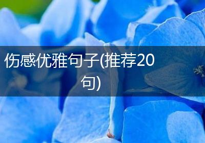 伤感优雅句子(推荐20句)