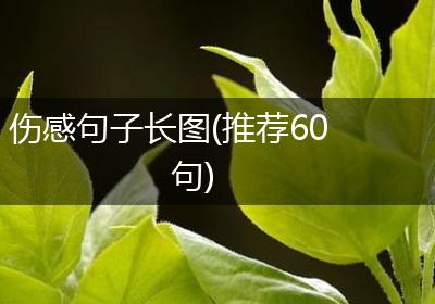 伤感句子长图(推荐60句)