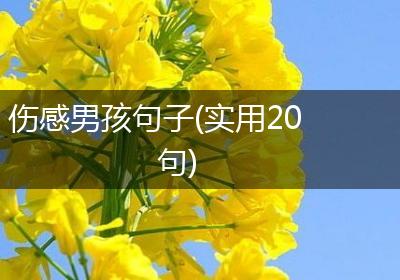 伤感男孩句子(实用20句)