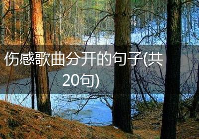 伤感歌曲分开的句子(共20句)