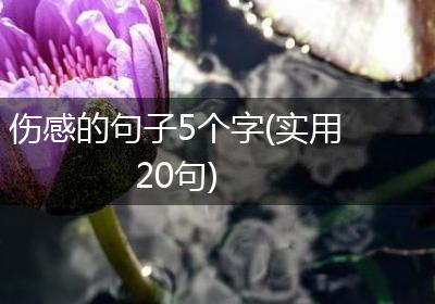 伤感的句子5个字(实用20句)
