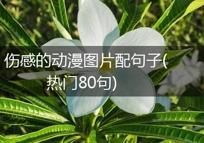 伤感的动漫图片配句子(热门80句)