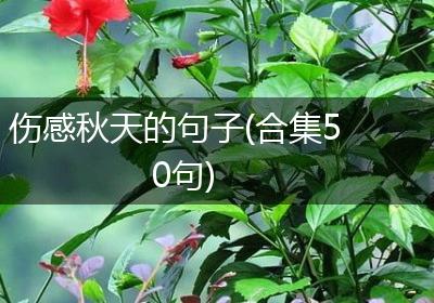 伤感秋天的句子(合集50句)
