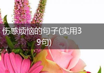 伤感烦恼的句子(实用39句)