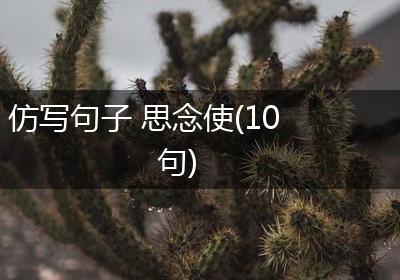 仿写句子 思念使(10句)