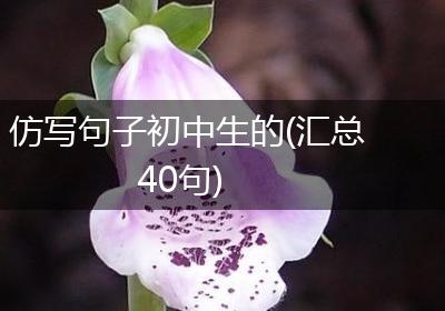 仿写句子初中生的(汇总40句)
