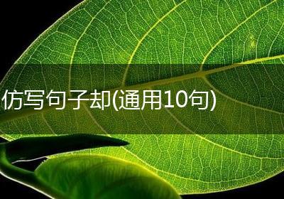 仿写句子却(通用10句)
