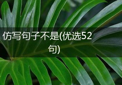 仿写句子不是(优选52句)