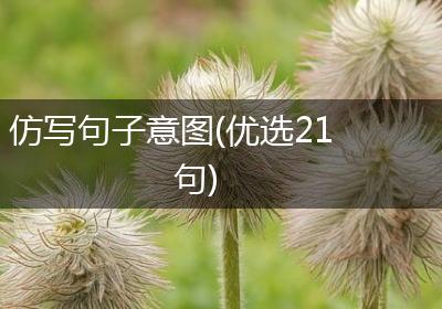 仿写句子意图(优选21句)