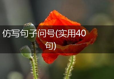 仿写句子问号(实用40句)