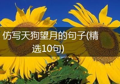 仿写天狗望月的句子(精选10句)