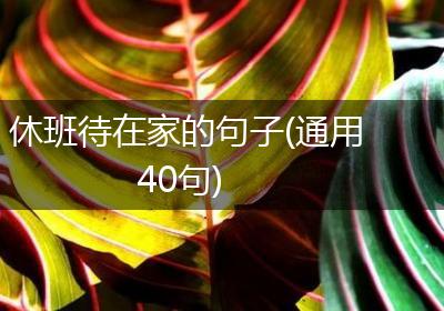 休班待在家的句子(通用40句)
