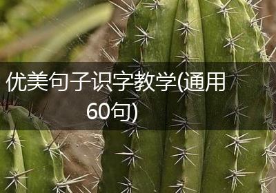 优美句子识字教学(通用60句)