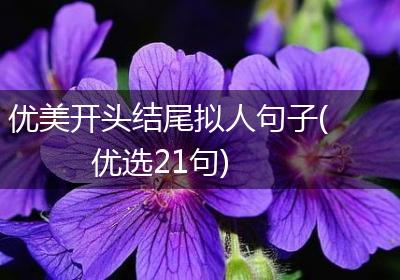 优美开头结尾拟人句子(优选21句)