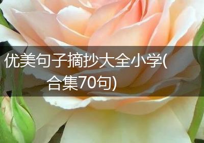 优美句子摘抄大全小学(合集70句)