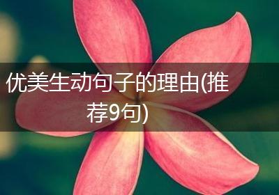 优美生动句子的理由(推荐9句)